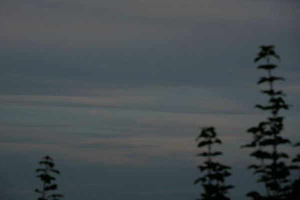 330 :: Twilight colours